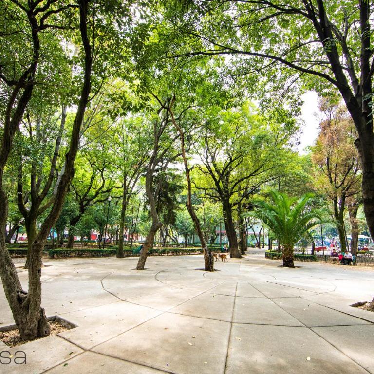 Nadal 303 · Brand New Park View Designer Apartment - Two-Bedroom Apartment - 15