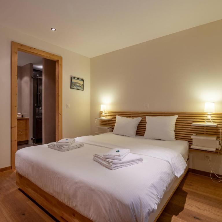 Montagnard 3 - Spa access - Appartement 3 Chambres - 9