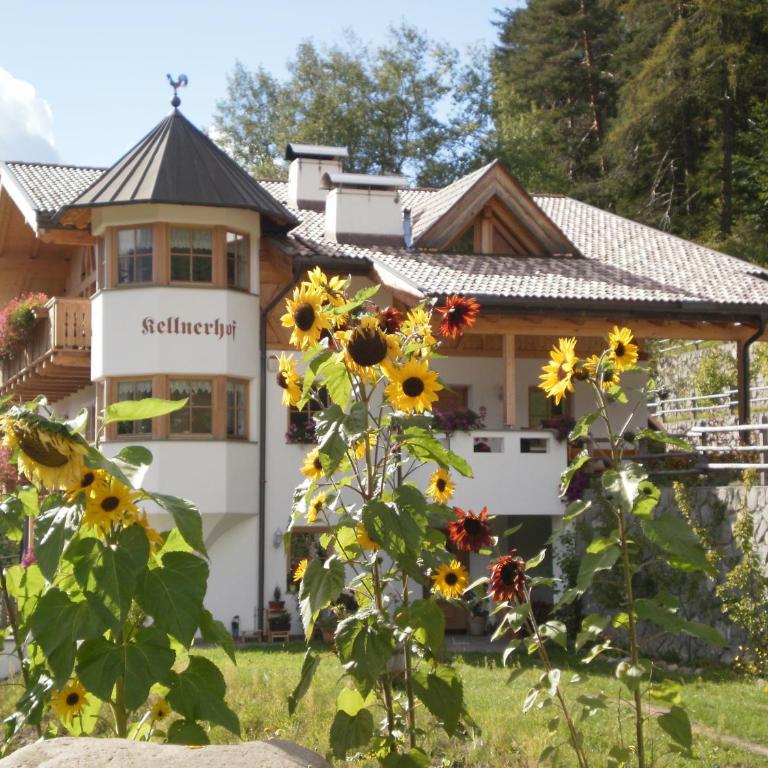 Kellnerhof - Appartamento con Balcone - 9