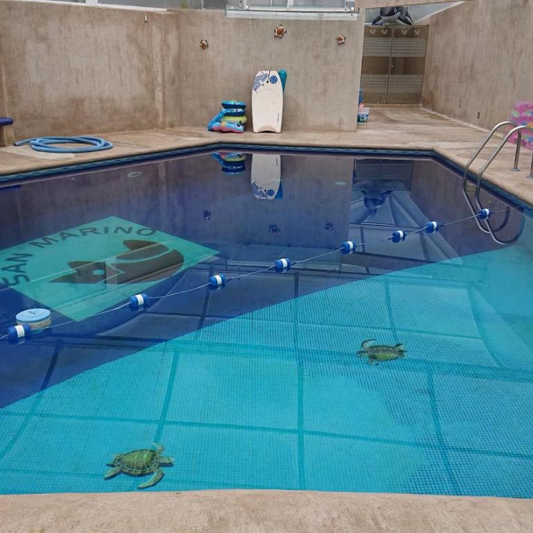 grupos chicos 2 - Apartamento de 1 dormitorio - 30