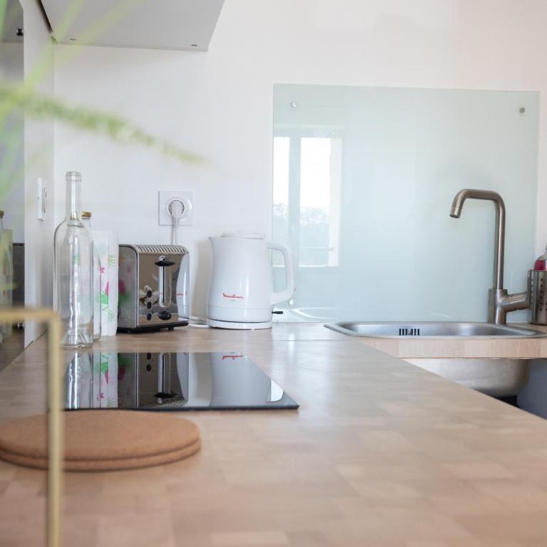 L'Isle en Blanc - 4 couchages - Hypercentre - Clim - Wifi - Appartement 1 Chambre - 15