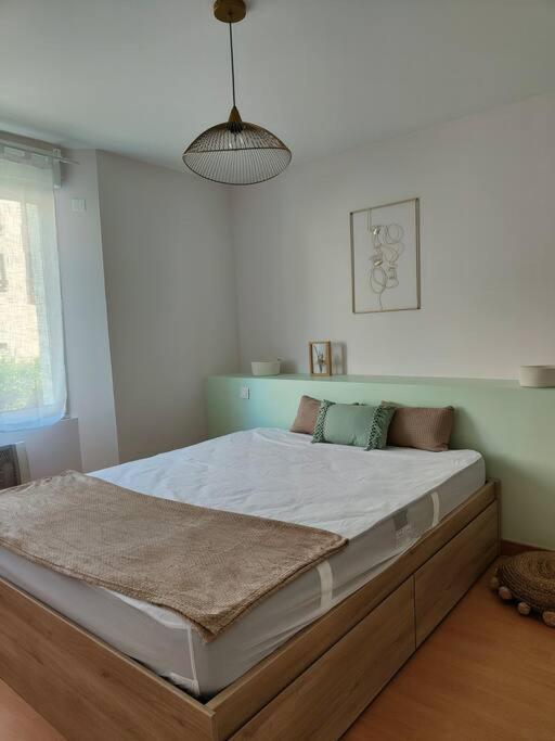 Le Paradou - Appartement 1 Chambre - 24