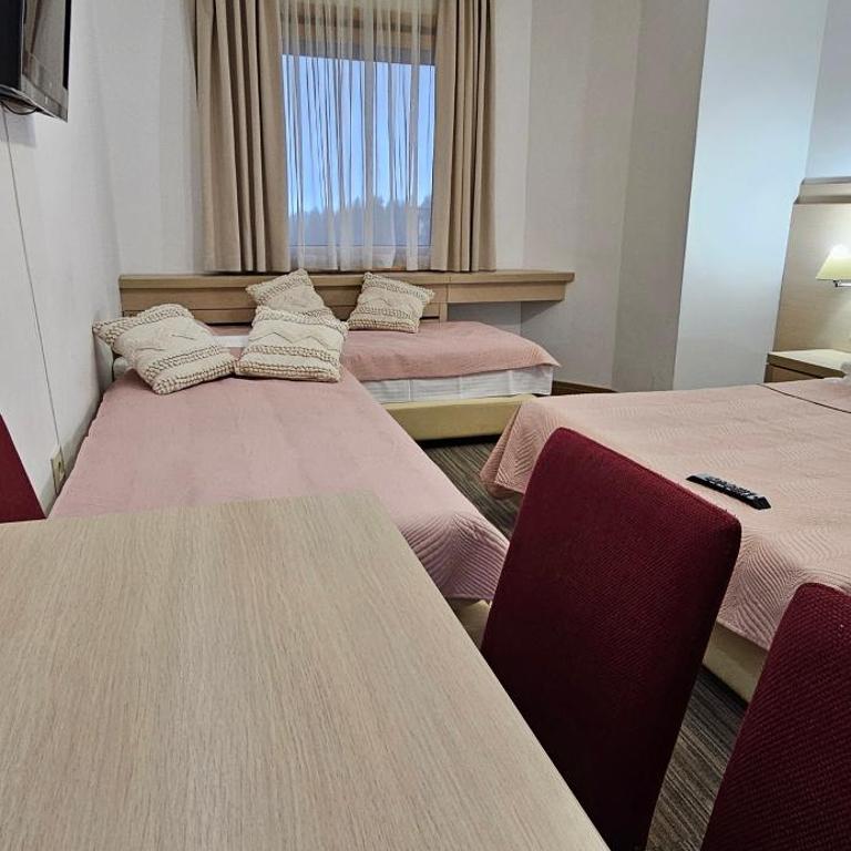 NevSki Apartments - Deluxe Studio - 2