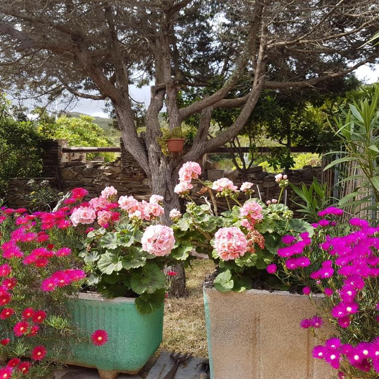 Rosa dei Venti, villetta immersa nel verde con vista Asinara - Appartamento con Vista Mare - 78