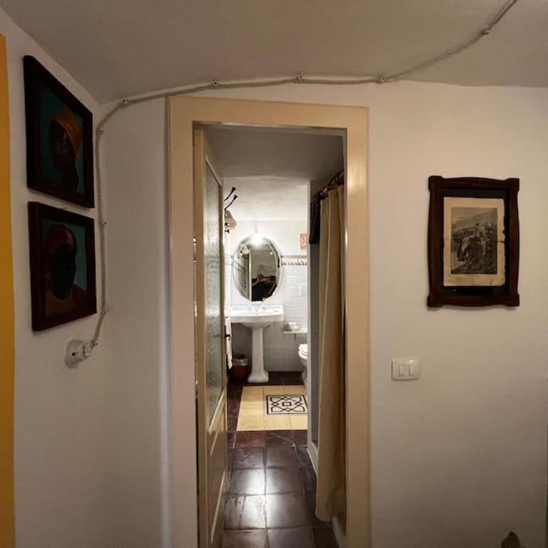 AlCOVA REALE Apartment and organic honey millefiori Cisternino cda specchia 33 - Appartamento con 1 Camera da Letto - 15