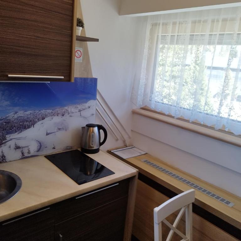 Apartment Dunja Konaci - Apartment with Mountain View - 14