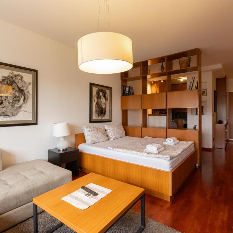 Central Park Apartments - Studio - 2