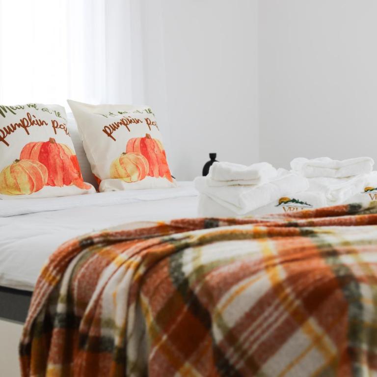Vrh Apartman - One-Bedroom Apartment - 15