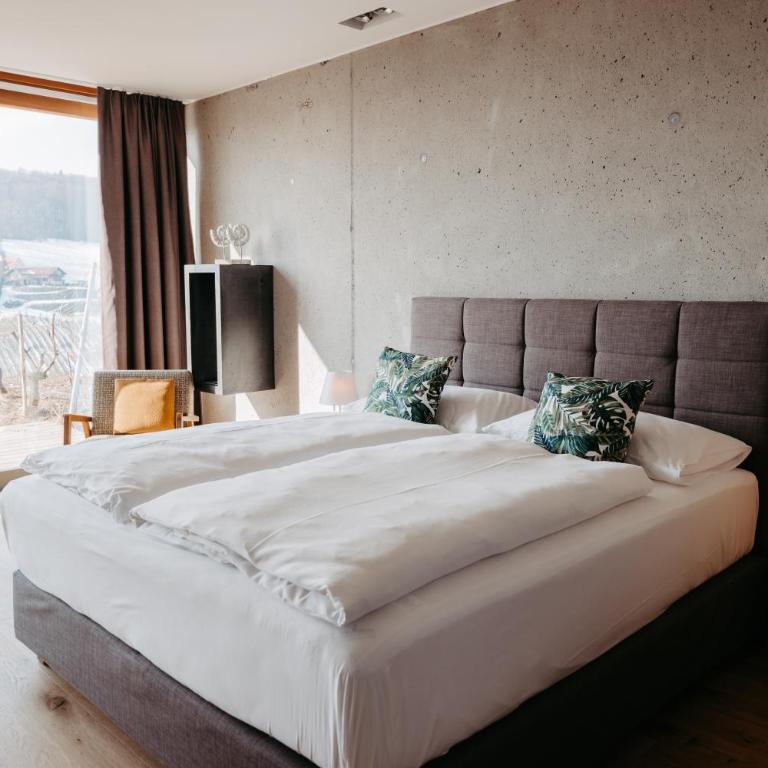 RELAX APARTMENTS An der Lage Hochgraßnitzberg - Studio mit Terrasse - 16