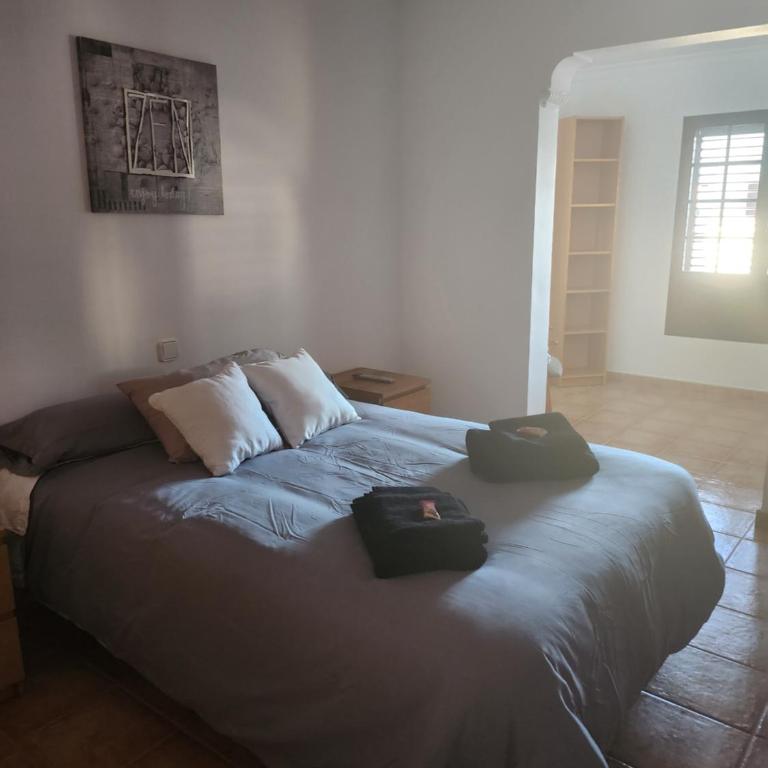 Casa la Bufona - Villa - 39