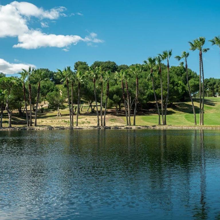 Luxury apartment with sea view Puerto Torrevieja - Apartamento de 3 dormitorios - 31