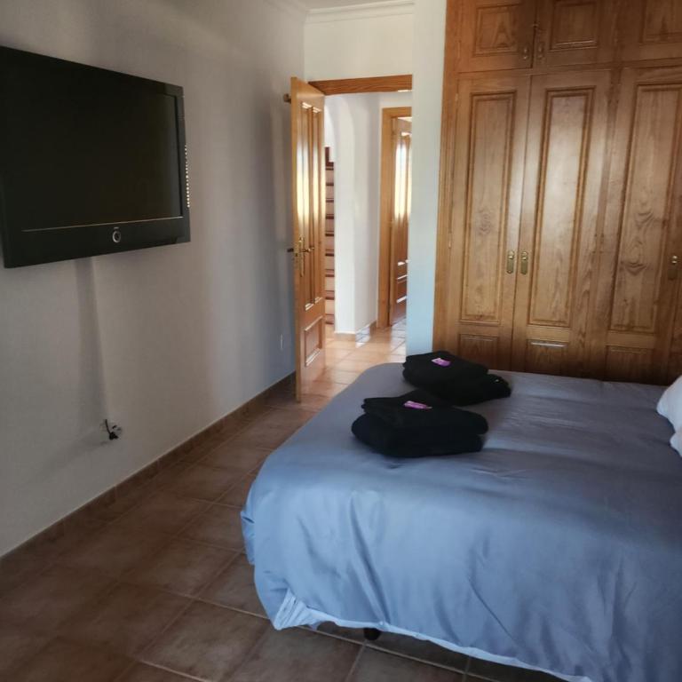 Casa la Bufona - Villa - 70