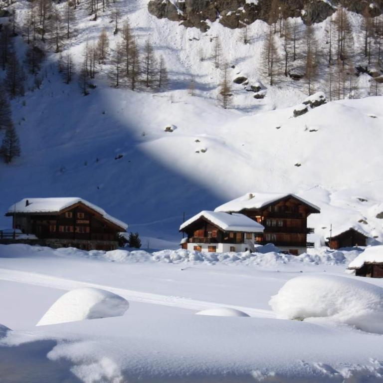 Le Panorama - Appartement 54 à Arolla face aux montagnes à 150m des pistes - Apartment mit 2 Schlafzimmern - 43
