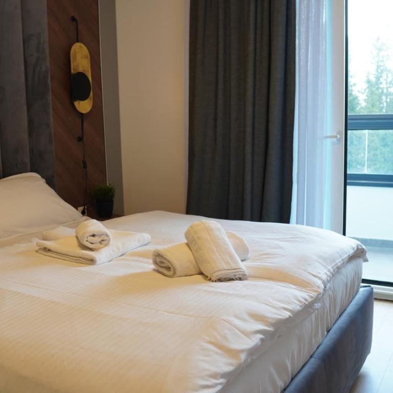 BESTBLICK Apartments Jahorina - apartmani na stazi - One-Bedroom Apartment - 26