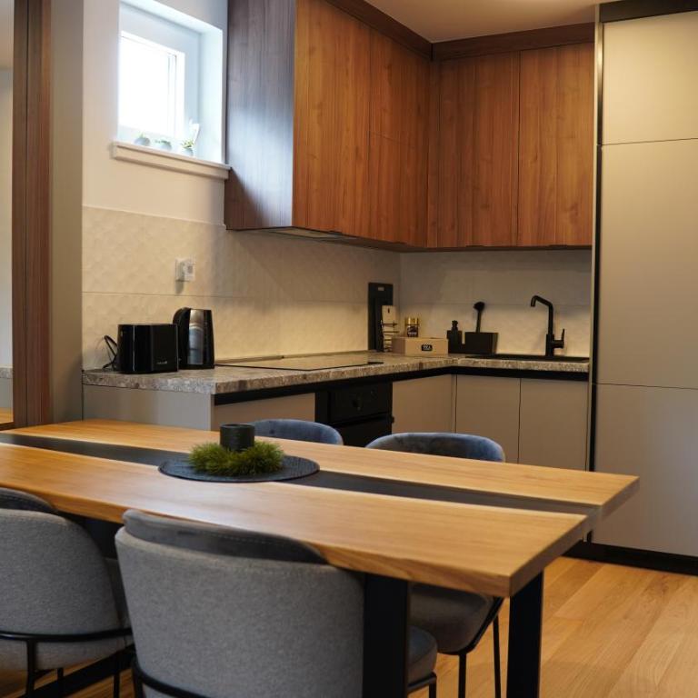 BESTBLICK Apartments Jahorina - apartmani na stazi - Apartman sa 1 Spavaćom Sobom - 13