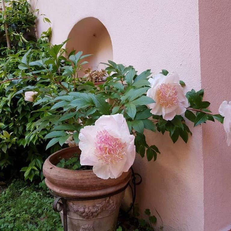 Appartamento Pet-Friendly nel Centro Storico di Genova - Two-Bedroom Apartment - 25