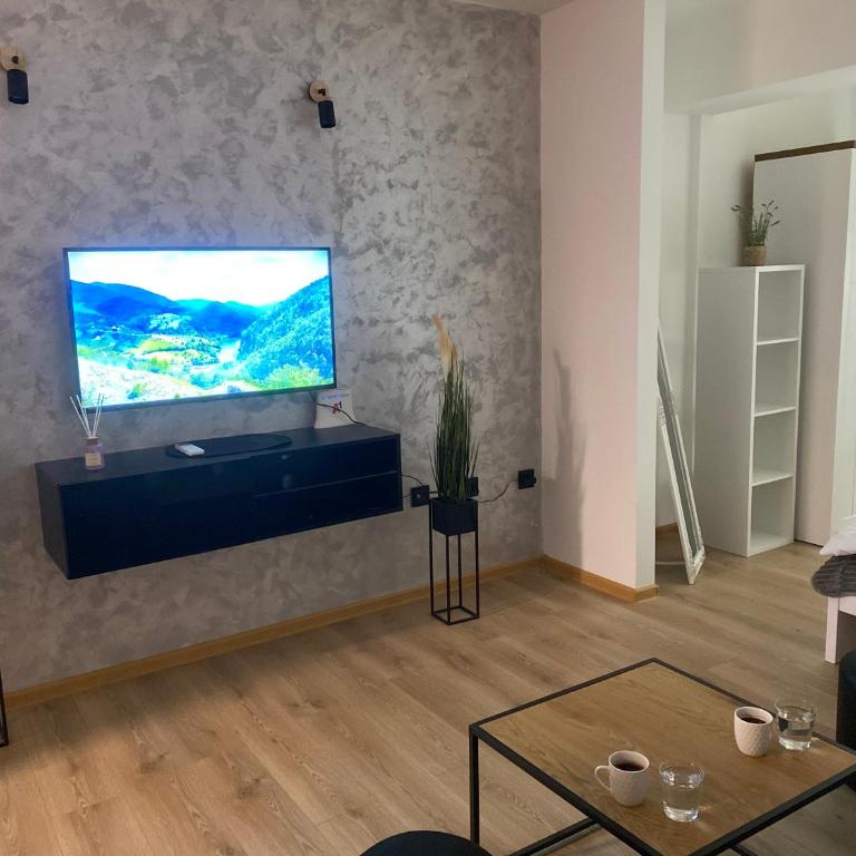 Aleksandra - One-Bedroom Apartment - 9