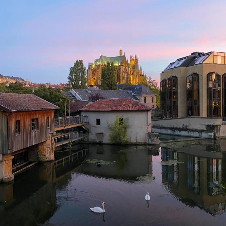 Une vue les pieds dans l'eau - Appartement 1 Chambre - 1
