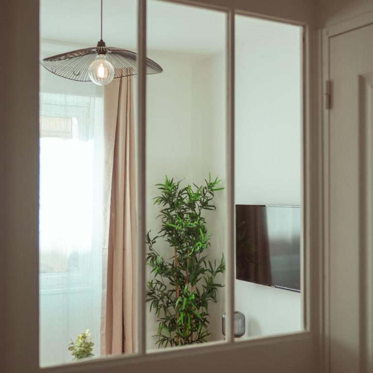 Le Métropolitan - Appartement 1 Chambre - 11