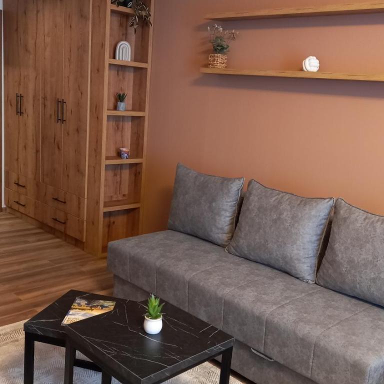 Apartman MK Kopaonik - Apartment with Mountain View - 29