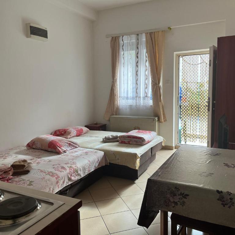 Mladenović smeštaj - Apartman sa 1 Spavaćom Sobom - 5
