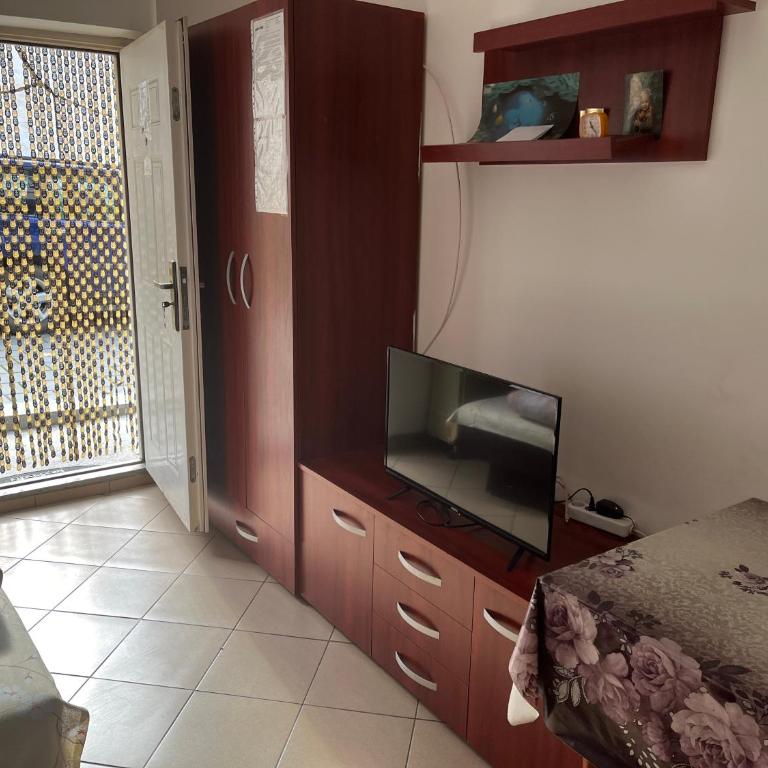 Mladenović smeštaj - Apartman sa 1 Spavaćom Sobom - 4