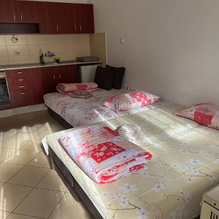 Mladenović smeštaj - Apartman sa 1 Spavaćom Sobom - 2