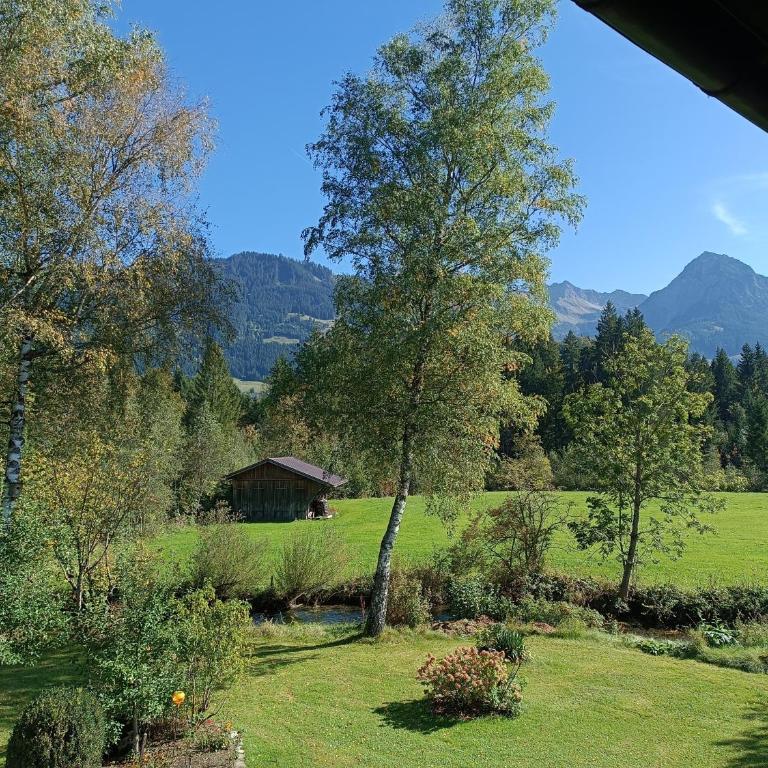 Ferienwohnungen Bachkristall & Inseltraum im Jagdhof - Apartment - 5