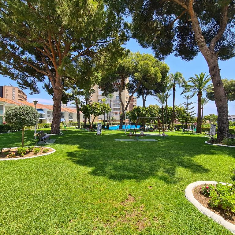 Apartamento Miramar IF Poniente - Apartamento de 1 dormitorio - 32