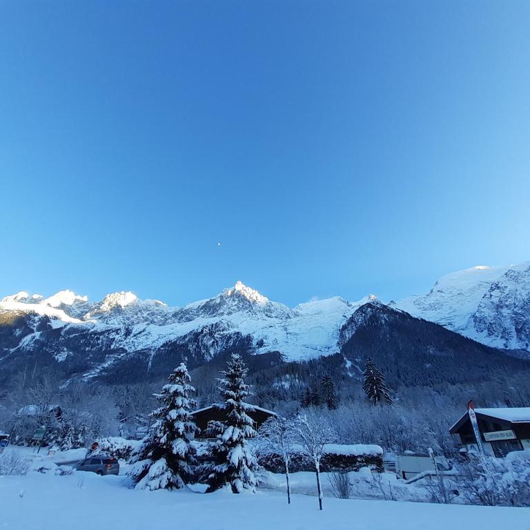 Appartement Chamonix Bossons - Appartement 2 Chambres - 18