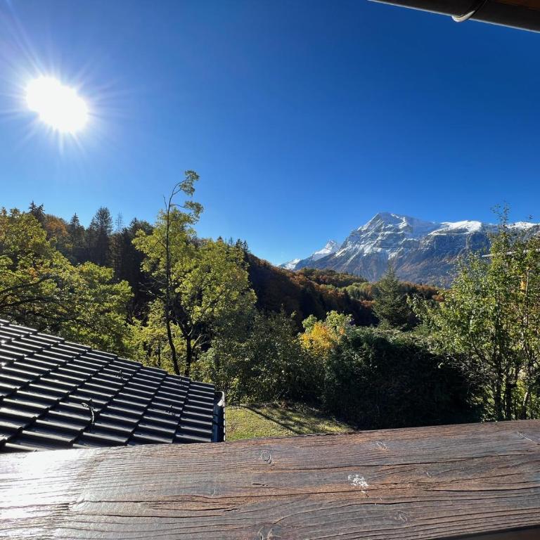 Chalet Haut Standing à proximité du centre (CH228) - Chalet - 2