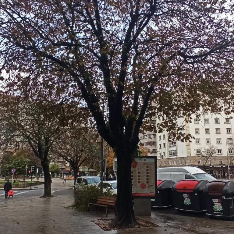 Piso Eugenio Fadrique Vigo - Apartamento de 2 dormitorios - 6