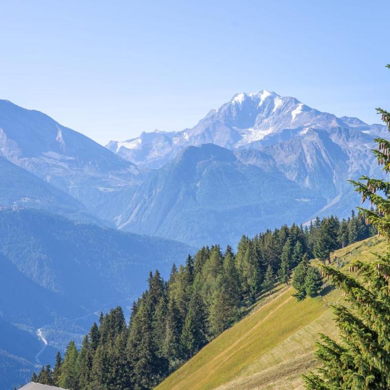 Chalet Collini - Chalet - 7