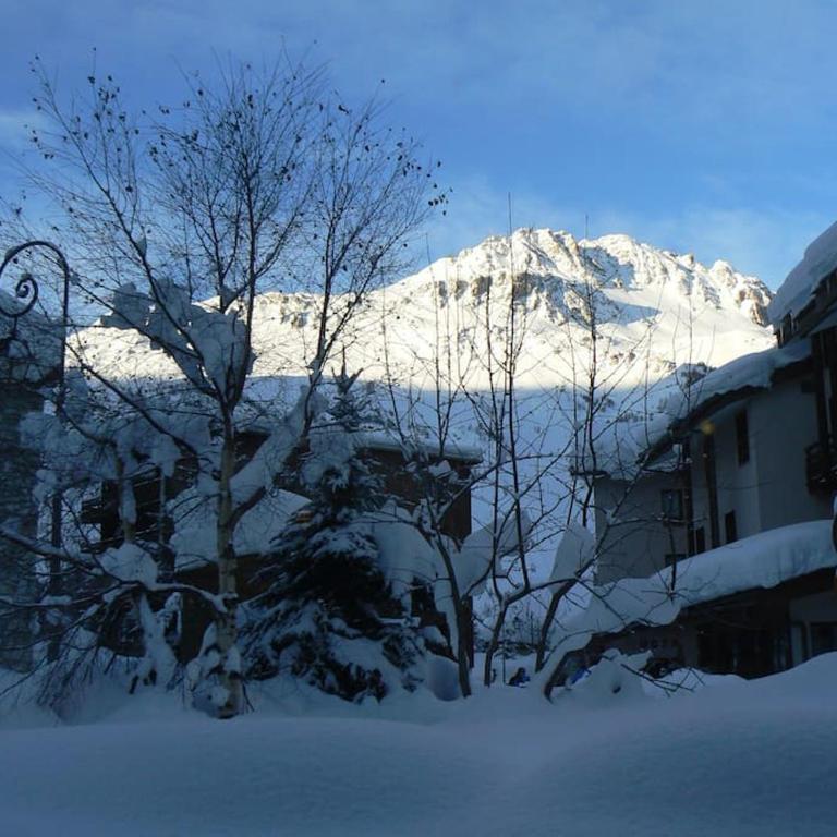 Chalet Ancolie - Appartement - 22