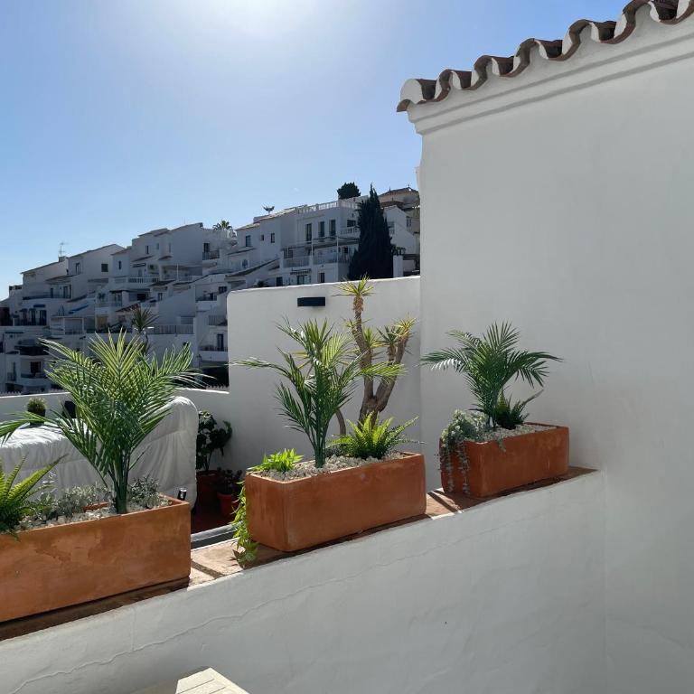 Capistrano Playa - One-Bedroom Apartment - 11