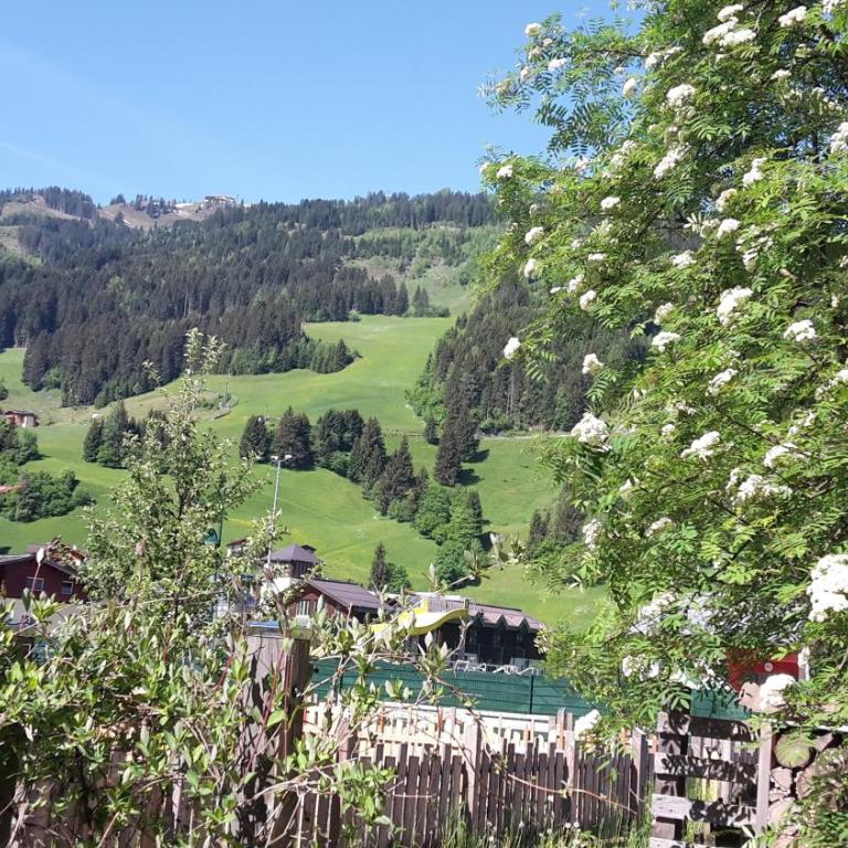 Ferienwohnung Langwallner - Apartment mit 3 Schlafzimmern - 34