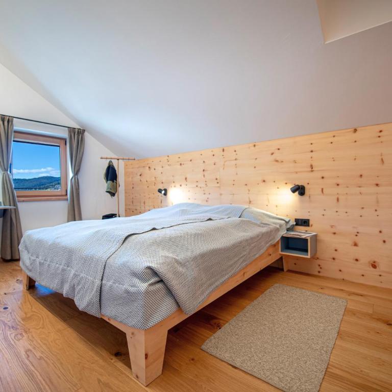 Apartments Vedl Luech da Plajes - Appartamento con Vista Montagna - 8