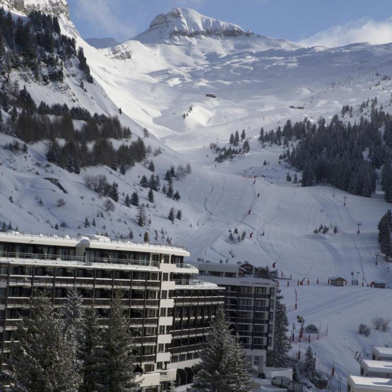 NID DOUILLET DE FLAINE - Studio - 10