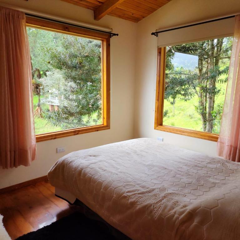 cabañas Arcoíris del lago Nº 5 - Casa de 2 dormitorios - 2