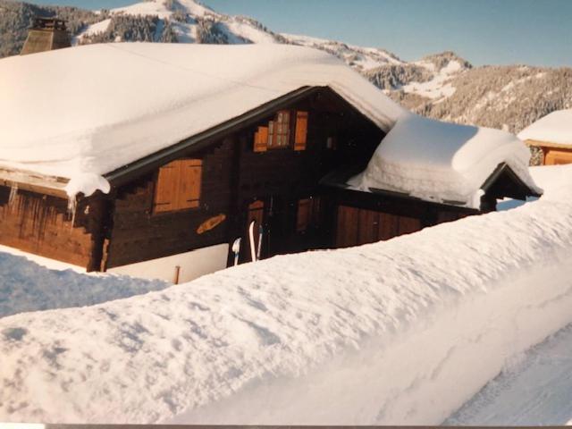 Très beau chalet familial - Vue superbe ! Plein sud - Chalet - 6