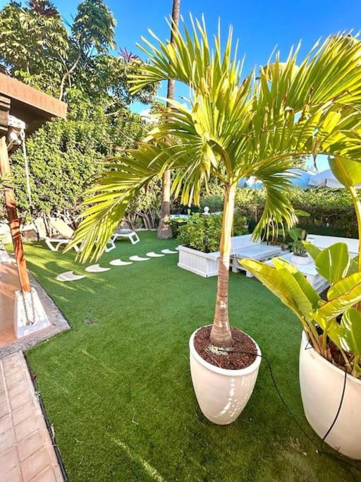 Los tunos 33 - One-Bedroom Apartment - 32