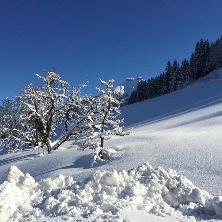 Reithütte - Haus mit 2 Schlafzimmern - 21