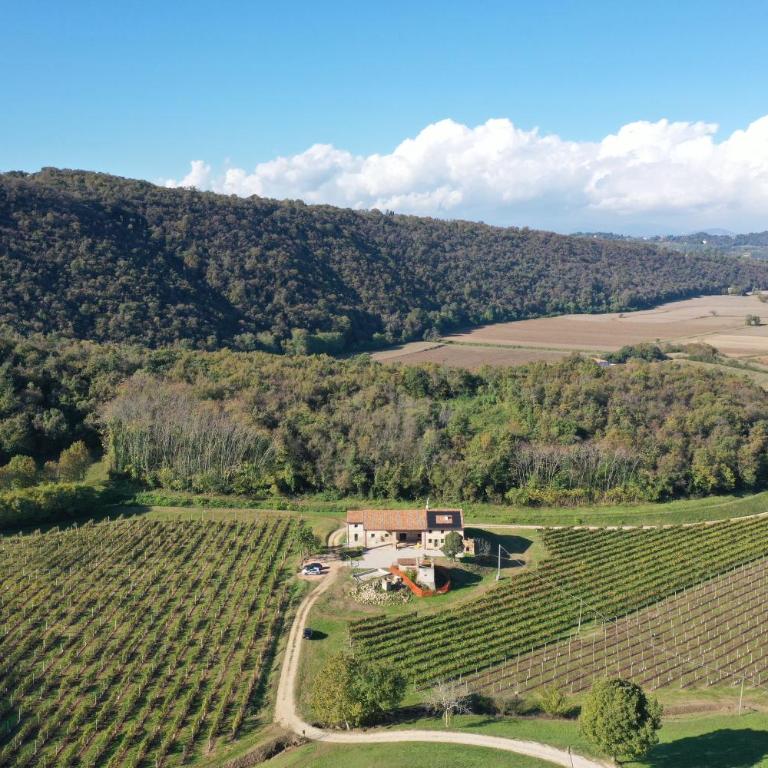 Palladio Vineyard - Casa con 1 Camera da Letto - 4