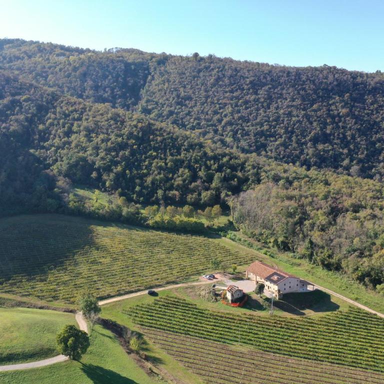 Palladio Vineyard - Casa con 1 Camera da Letto - 5