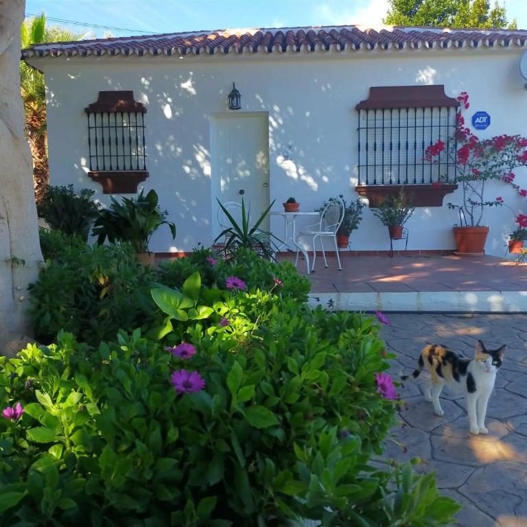 Paraje El Pozo - Casa con 1 dormitorio - 13