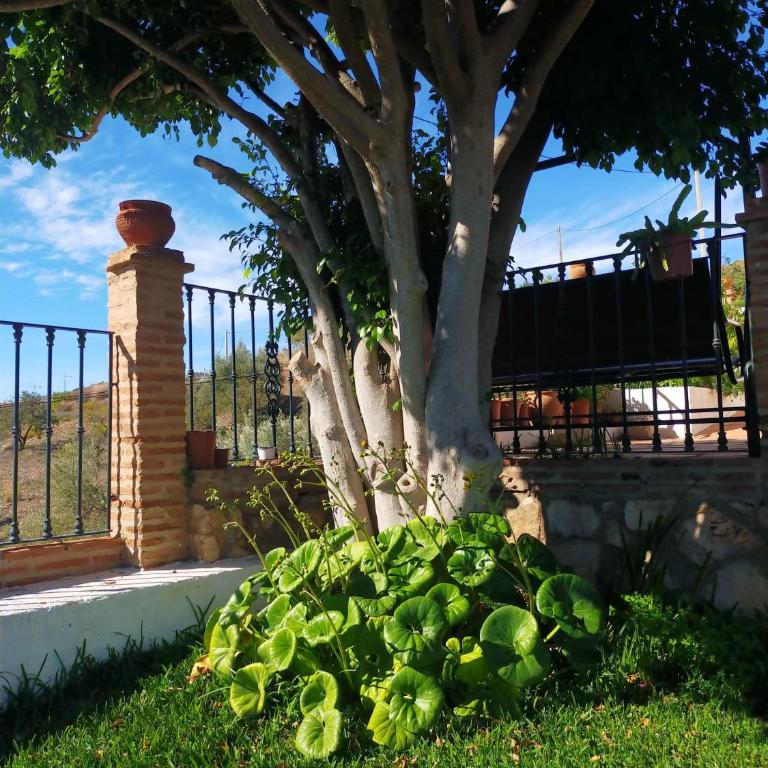 Paraje El Pozo - Casa con 1 dormitorio - 45