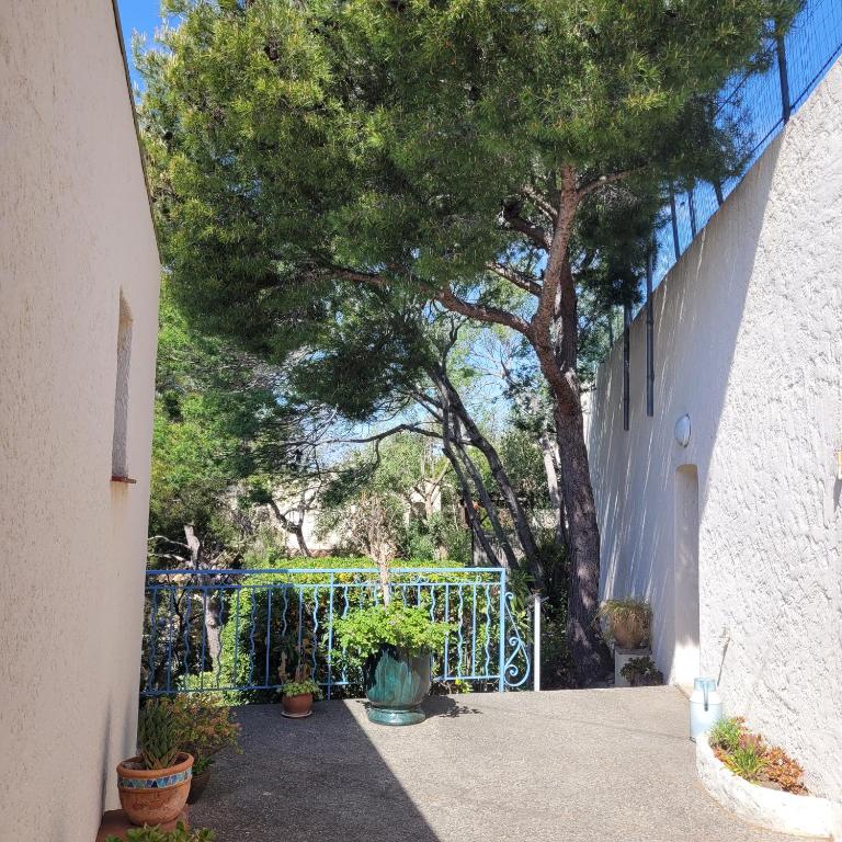 Grand F2 vue mer - Appartement 1 Chambre - 14