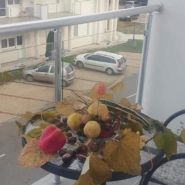 Djurdjica - Apartman sa 1 Spavaćom Sobom - 3
