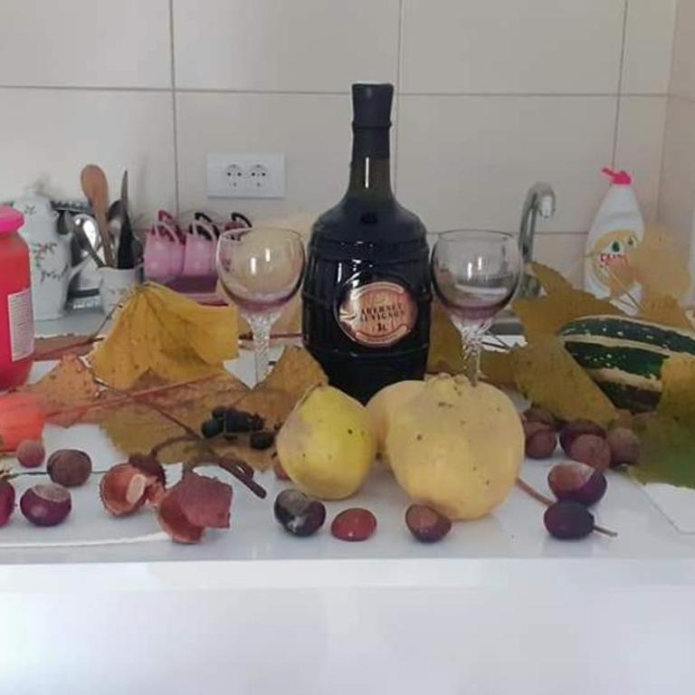 Djurdjica - Apartman sa 1 Spavaćom Sobom - 2