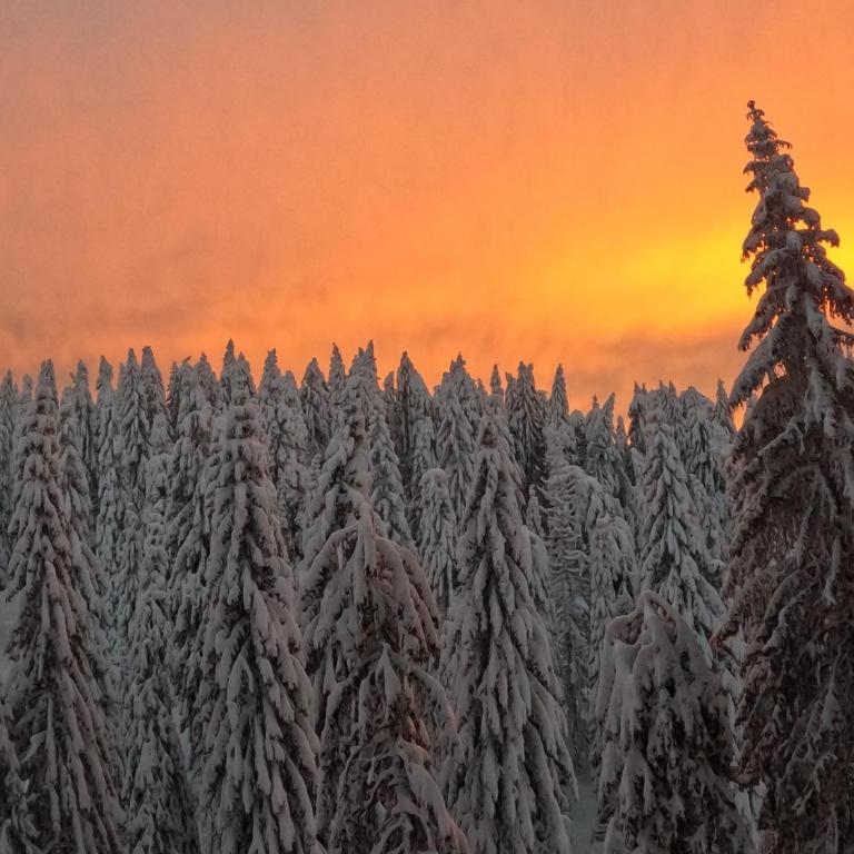Woodside Kopaonik - Malo jezero, FREE Parking & SPA - Apartment with Mountain View - 25